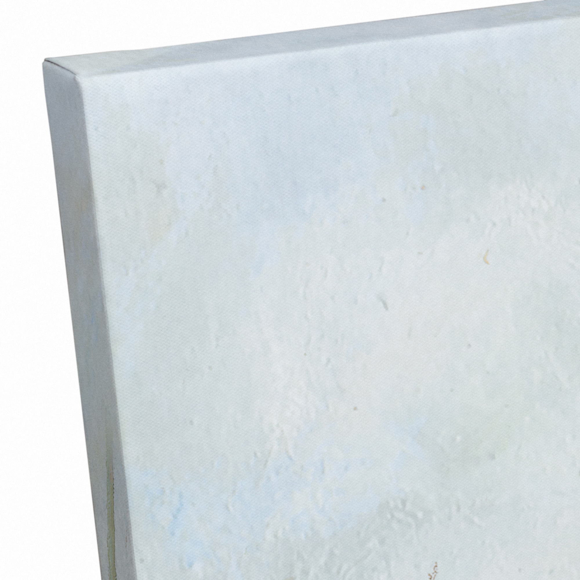 Path In The Field 30" x 24" Canvas Wall Art